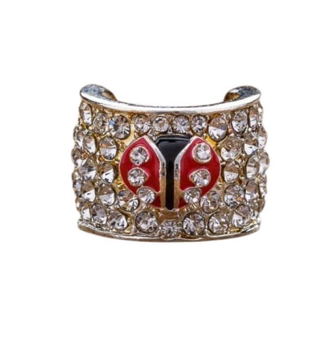 Charms στηθοσκοπίων - Lifestyle Lady Bug