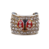 Charms στηθοσκοπίων - Lifestyle Lady Bug