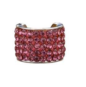 Charms στηθοσκοπίων - Μονόχρωμα Fuschia