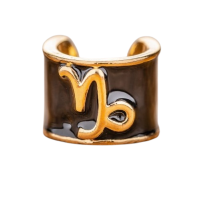 Charms στηθοσκοπίων με τα σύμβολα των ζωδίων Capricorn - Αιγόκερως