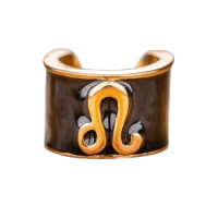 Charms στηθοσκοπίων με τα σύμβολα των ζωδίων Leo - Λέων